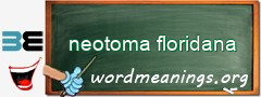 WordMeaning blackboard for neotoma floridana